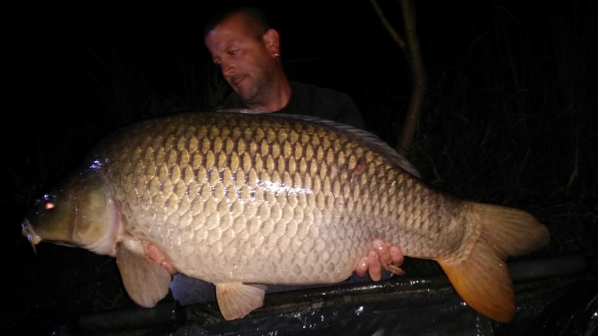 Șiclau 2015  - 20150620012810.jpg